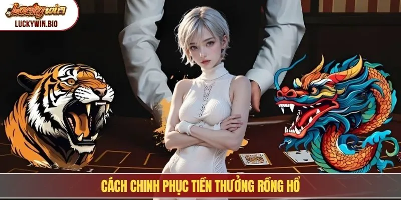 Cách chinh phục tiền thưởng Rồng Hổ