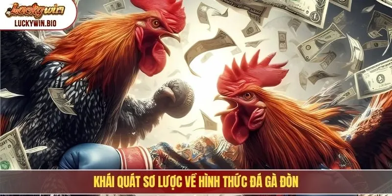 Khái quát sơ lược về hình thức đá gà đòn